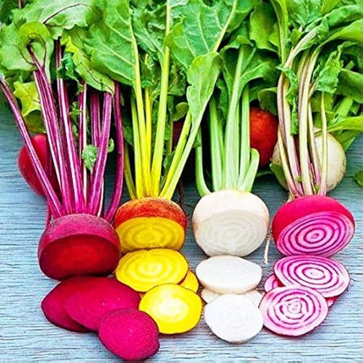 Rainbow Radish Seeds