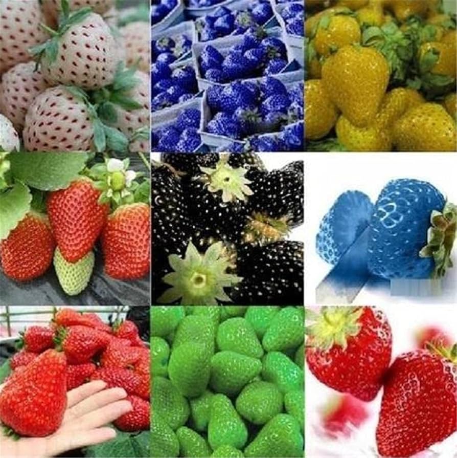 rainbow strawberry seeds