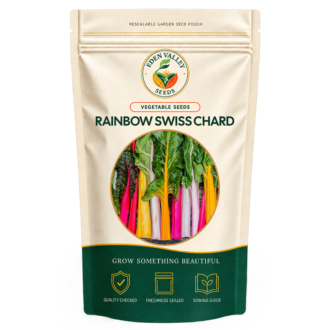 Rainbow Swiss Chard Seeds for planting