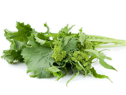 Broccoli raab rapini vegetable plants with lush green leaves, tender edible stems, and small yellow flower buds growing in a home vegetable garden.