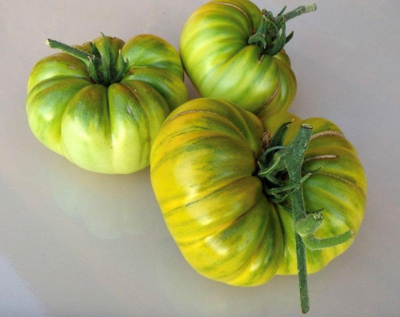 Ruby's German Green Tomato Seeds for Planting – Heirloom Non-GMO Garden Seeds