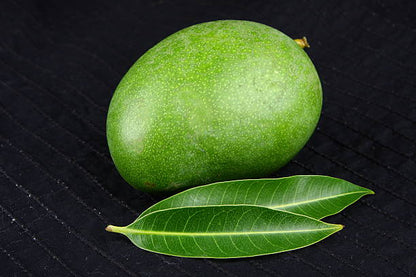 Raw mango seeds for planting and growing tropical mango trees