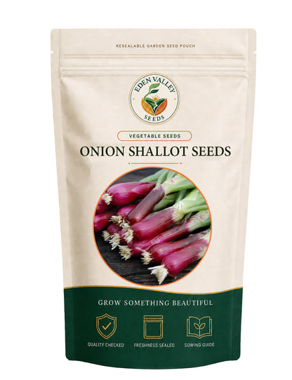 Red Bunching Onion Shallot Vegetable Seeds for home gardens