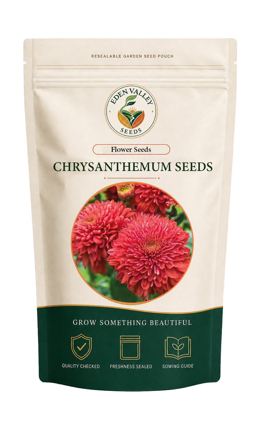 Red Chrysanthemum Seeds for Planting with vibrant red flowers for home gardens