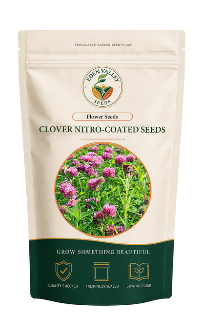 Red Clover Trifolium pratense seeds for planting