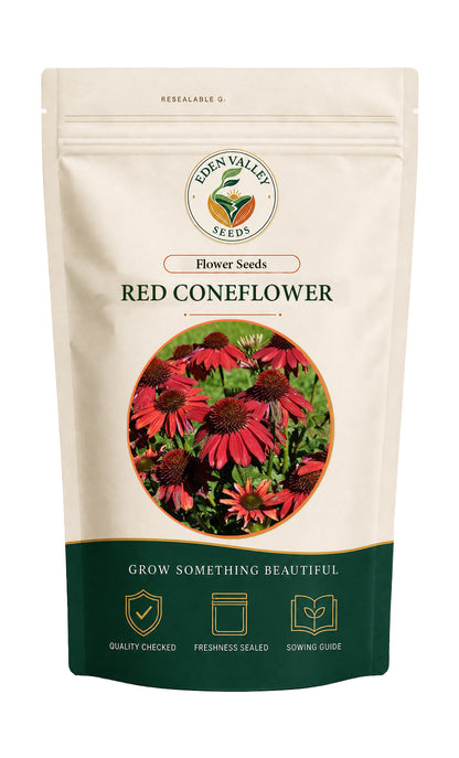 Red Coneflower plant with vibrant red flowers