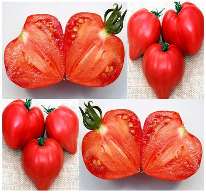 Red Heart Tomato Seeds