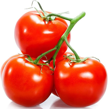 Red Horizon Tomato Seeds for Planting – Heirloom Non-GMO Garden Seeds