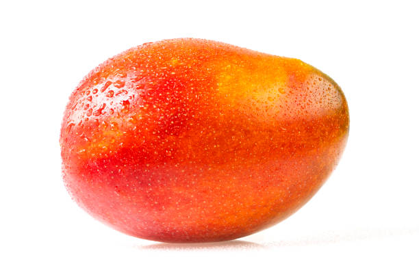 Red Mango Fruit Seeds for Planting for Growing Tropical Mango Trees