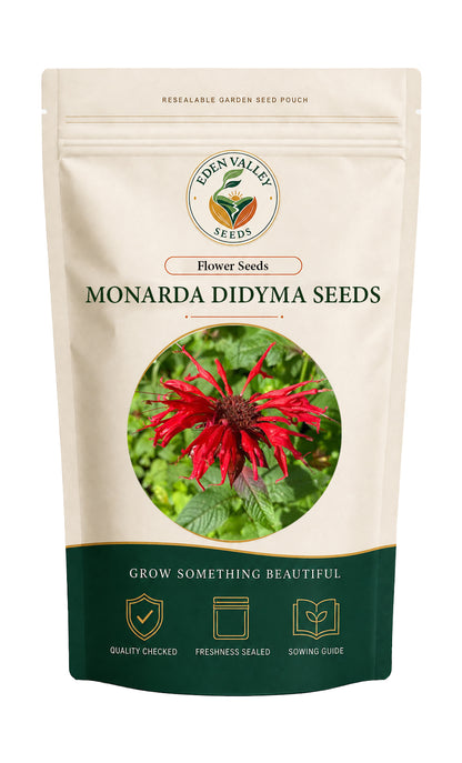Red Monarda Didyma Flower Seeds for home gardens
