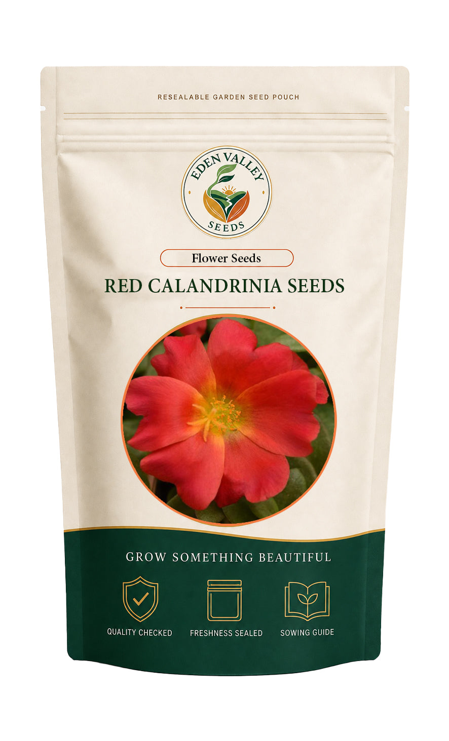 Red Orange Gazania Flower Seeds with colorful daisy-like flowers and green foliage
