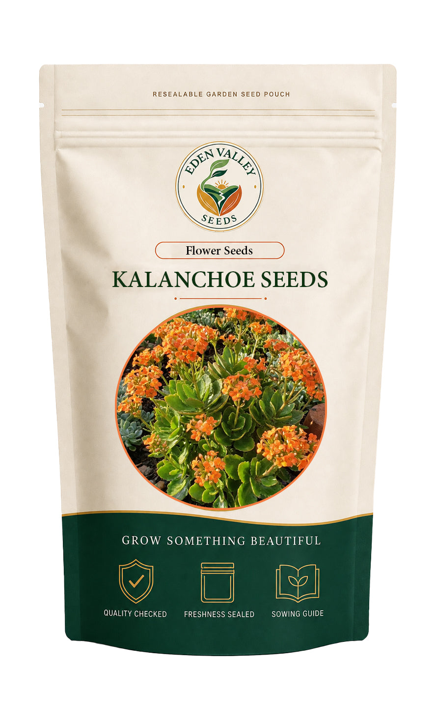 Red Orange Kalanchoe Seeds for Planting with vibrant red-orange flowers