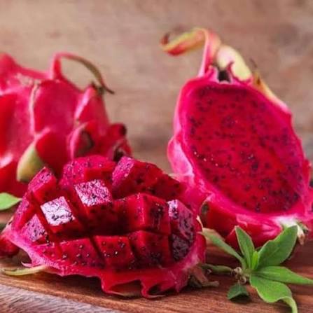 Red Dragon Fruit Seeds for Planting for Growing an Exotic Pitaya Cactus