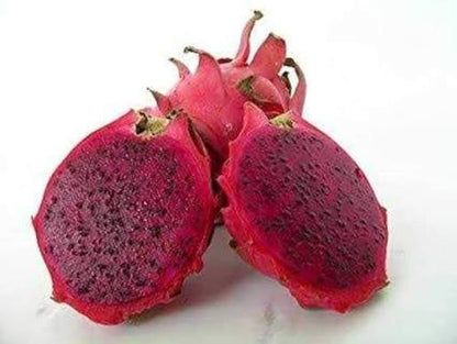 Red Pitaya fruit seeds for planting with red dragon fruit