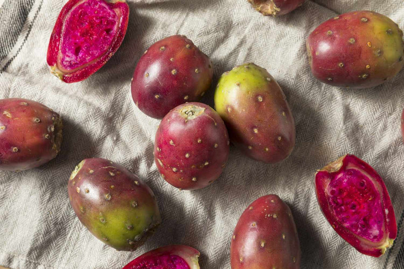 Red Opuntia Ficus Indica Seeds – Prickly Pear Cactus Seeds
