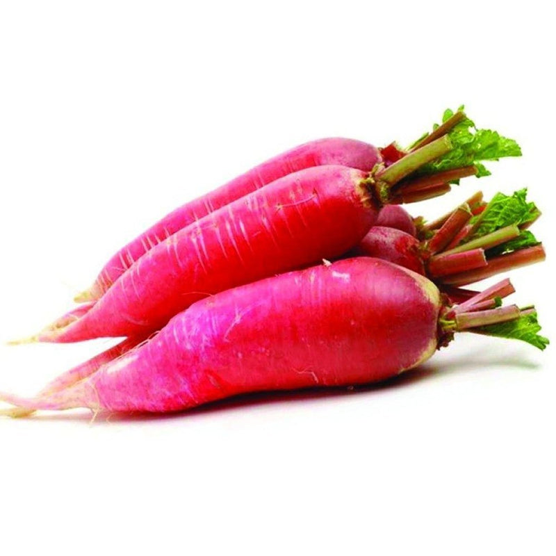 Red Radish Seeds for Planting – Heirloom Non-GMO Garden Seeds