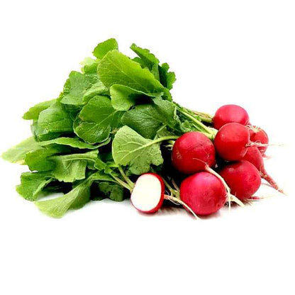 Red Radish Seeds for Planting – Heirloom Non-GMO Garden Seeds