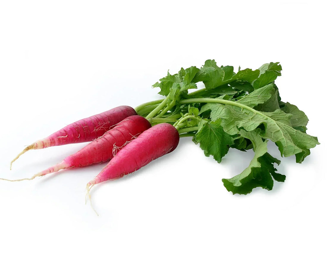 Red Radish Seeds