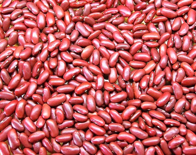 Dominican Red Speckled Kidney Bean Seeds for Planting – Heirloom Non-GMO Garden Seeds