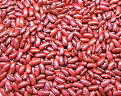 Dominican Red Speckled Kidney Bean Seeds for Planting – Heirloom Non-GMO Garden Seeds