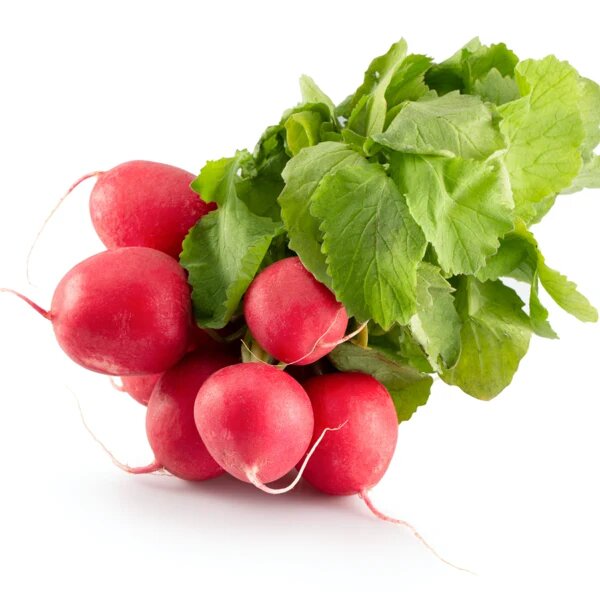 Red turnips growing in a home vegetable garden