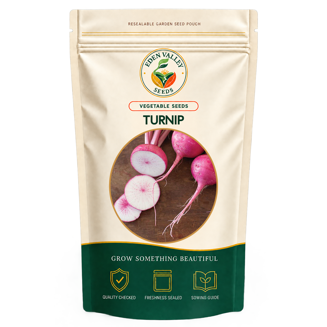 Red Turnip Vegetable Seeds for home gardens