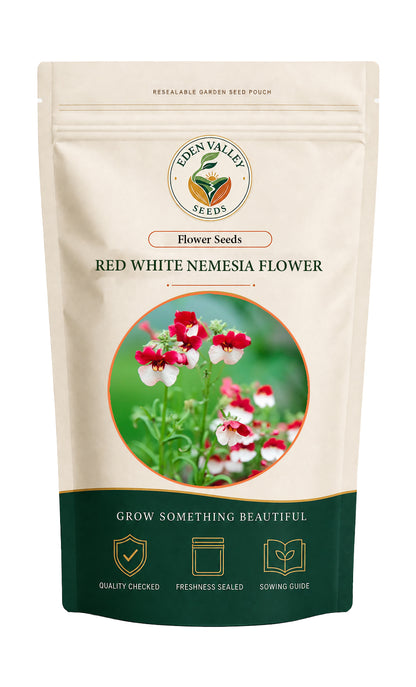 Red White Nemesia Strumosa flowers blooming in a garden