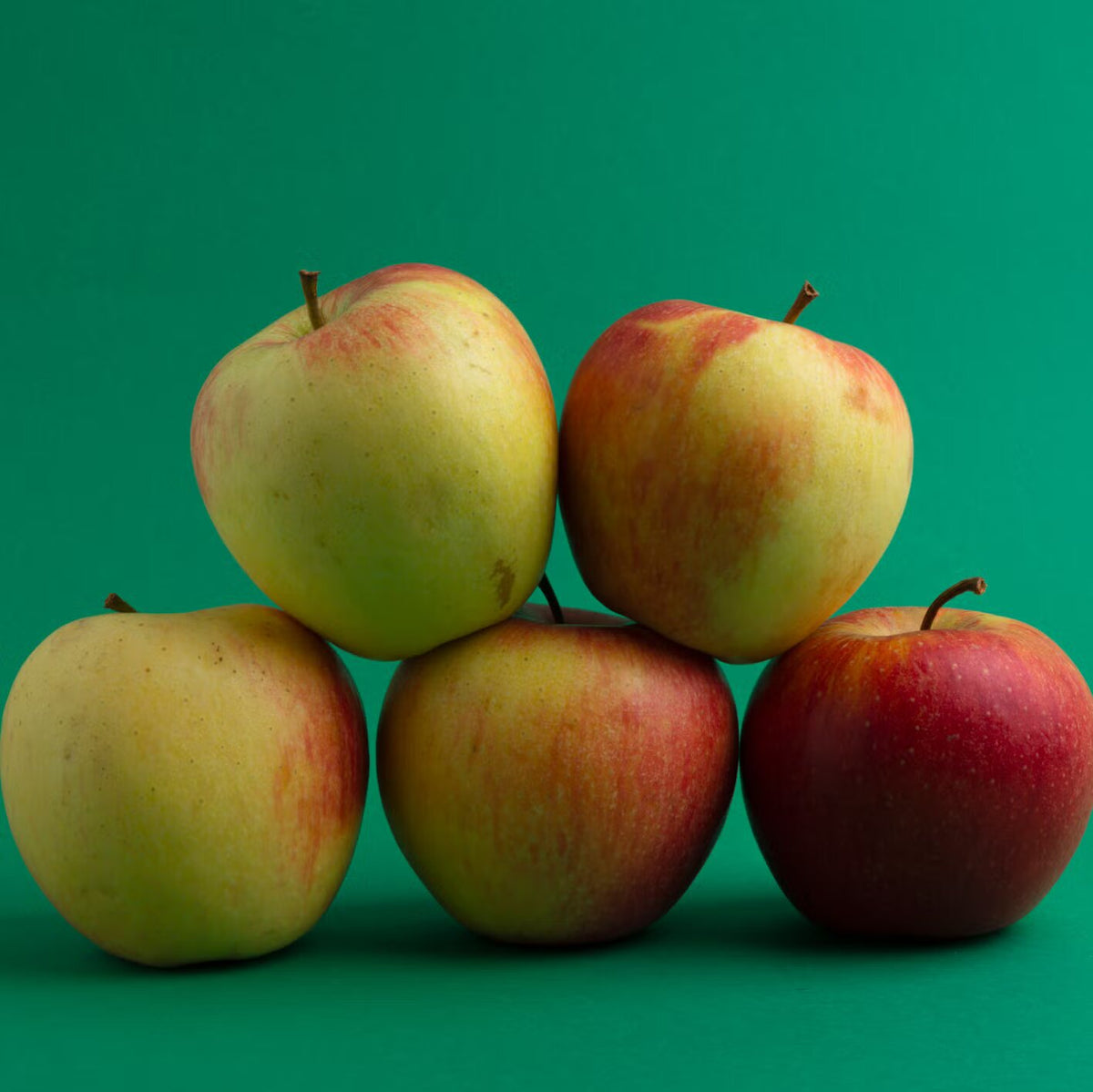 Red and Yellow Apple Fruit Seeds for Planting with Growing Apple Tree