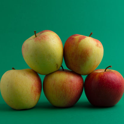 Red and Yellow Apple Fruit Seeds for Planting with Growing Apple Tree
