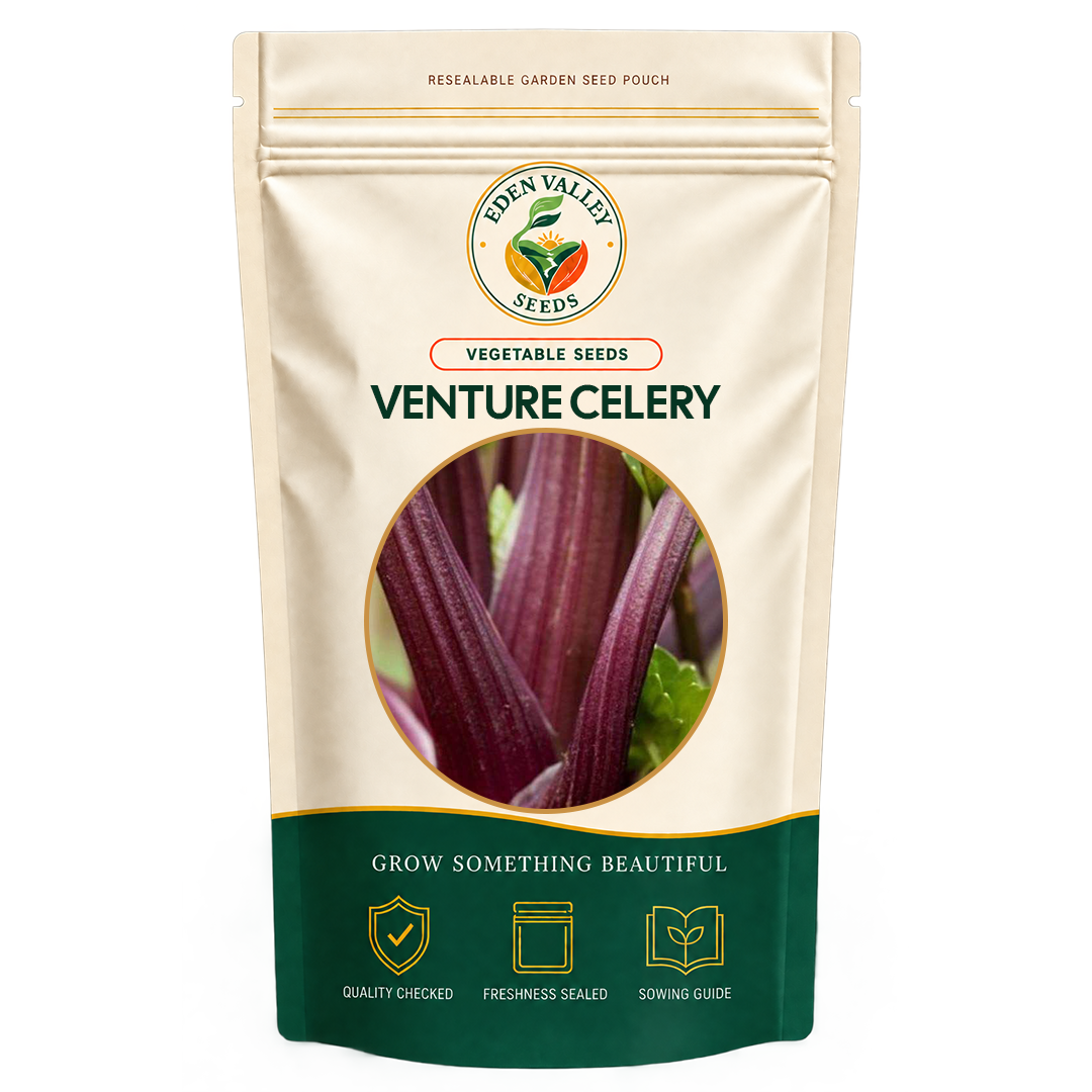 Redventure Celery Vegetable Seeds for home gardens