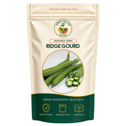Ridge Gourd plants growing on a garden vine
