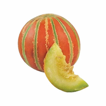 Brown Muskmelon Fruit Seeds for Planting