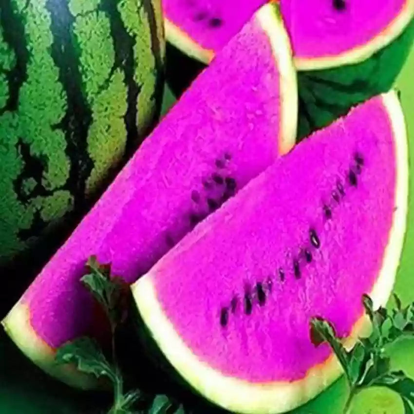 pink watermelon seeds