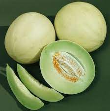 rocky ford cantaloupe seeds