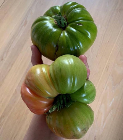 Ruby's German Green Tomato Seeds