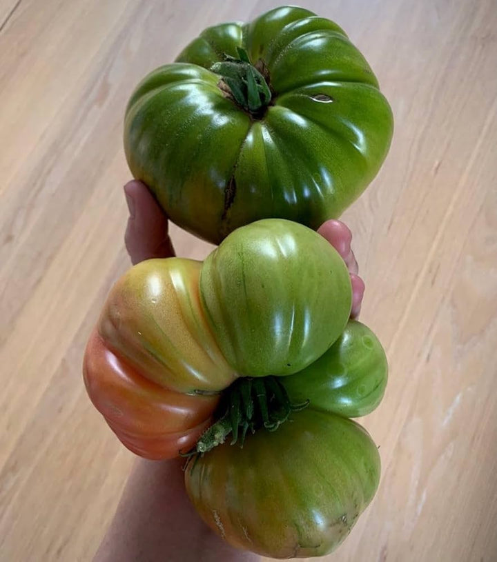 Ruby's German Green Tomato Seeds