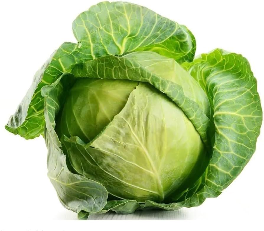Russian Cabbage Seeds