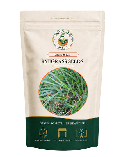 Ryegrass Seeds for Planting for growing lush green lawn grass