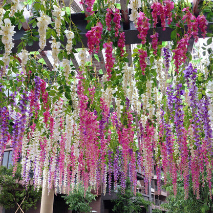 Wisteria flower seeds