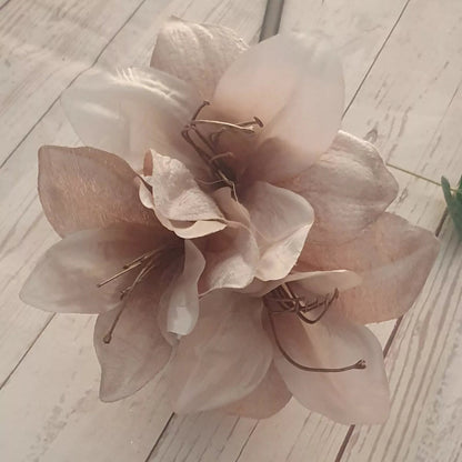 Ash Amaryllis flower seeds