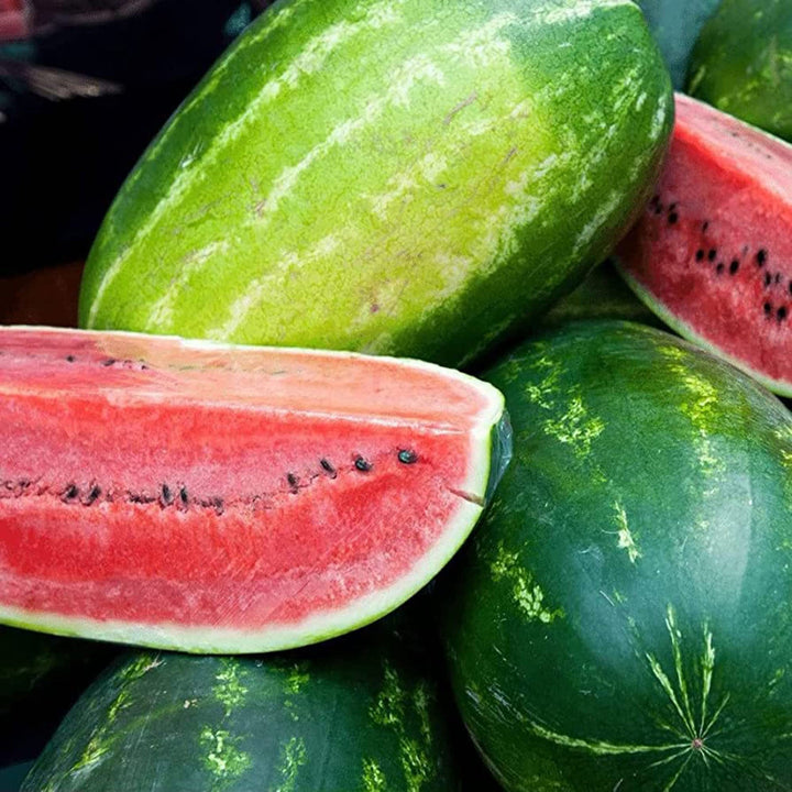 sangria watermelon seeds