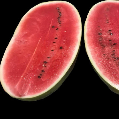 Sangria Hybrid Citrullus lanatus Watermelon Seeds for Planting – Premium Hybrid Watermelon Seeds