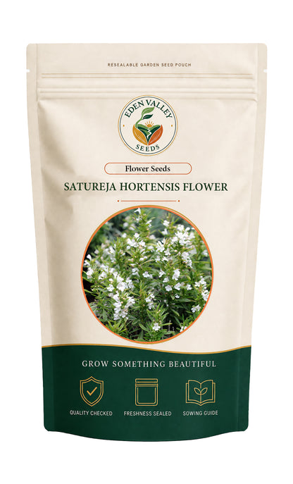 Satureia Hortensis Flower Seeds for planting