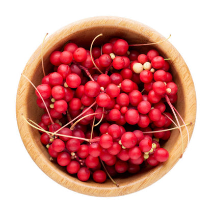 Schisandra chinensis seeds for planting – Chinese magnolia vine seeds