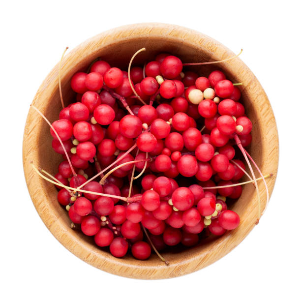 Schisandra chinensis seeds for planting – Chinese magnolia vine seeds