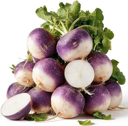 Seven Top Turnip Seeds for Planting – Heirloom Garden Seeds