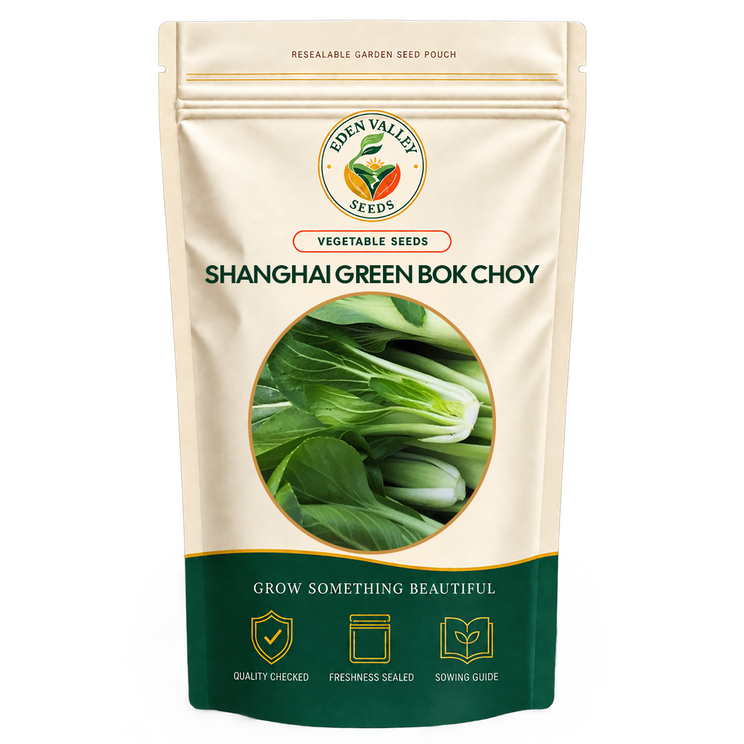 Shanghai Green Bok Choy Seeds for planting