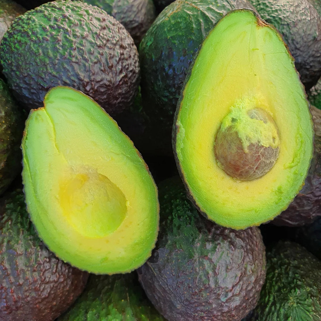 Fresh Sharwil avocado fruit with green skin and creamy flesh, showcasing the fruit variety for home garden growing.
