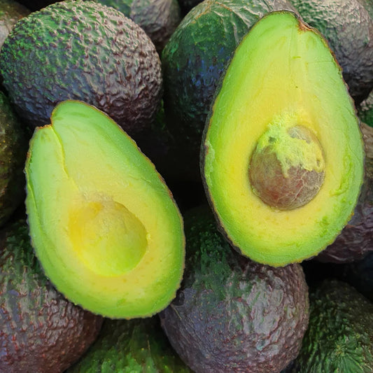 Fresh Sharwil avocado fruit with green skin and creamy flesh, showcasing the fruit variety for home garden growing.