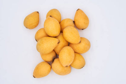 Sherry Wood loquat fruit seeds for planting, featuring an evergreen loquat tree with glossy green leaves and golden-yellow fruit.